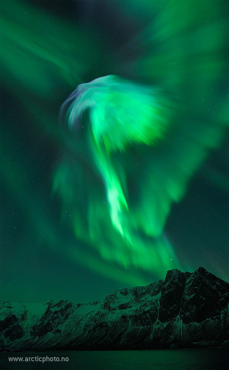 挪威上空的鹰状极光