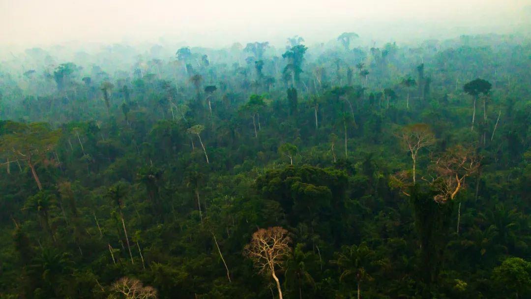人类活动正在使亚马孙雨林变得干燥