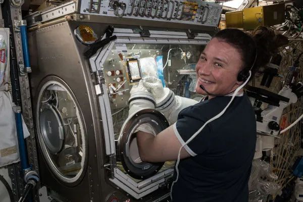 庆祝妇女历史月：最近的女性宇航员们