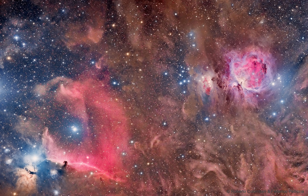 马头星云和猎户座星云的图片。请参阅说明以获取更多详细信息。