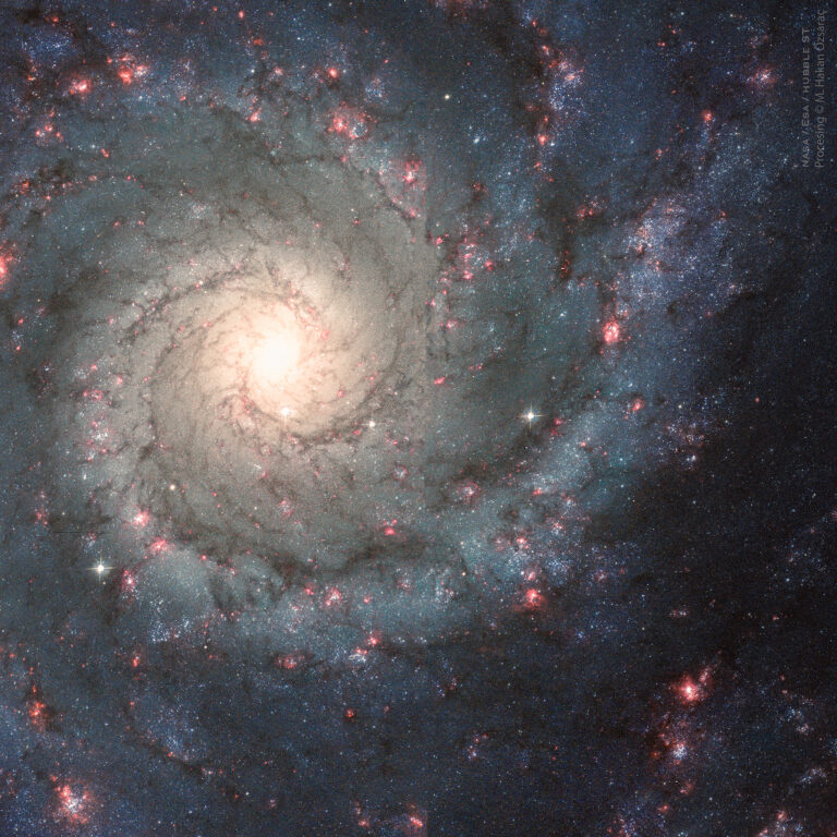 M74：完美的螺旋星系