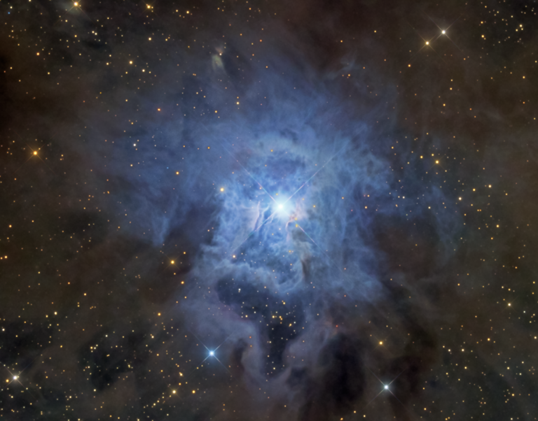 NGC 7023：鸢尾花星云