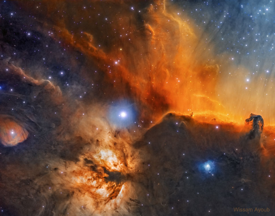 图片显示了猎户座星云的一部分的深层图像，其中包含马头星云和火焰星云。周围的尘埃和星星也清晰可见。有关更多详细信息，请参阅说明。