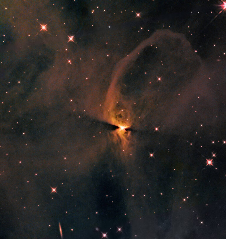 哈勃望远镜在IC2631中发现新形成的恒星