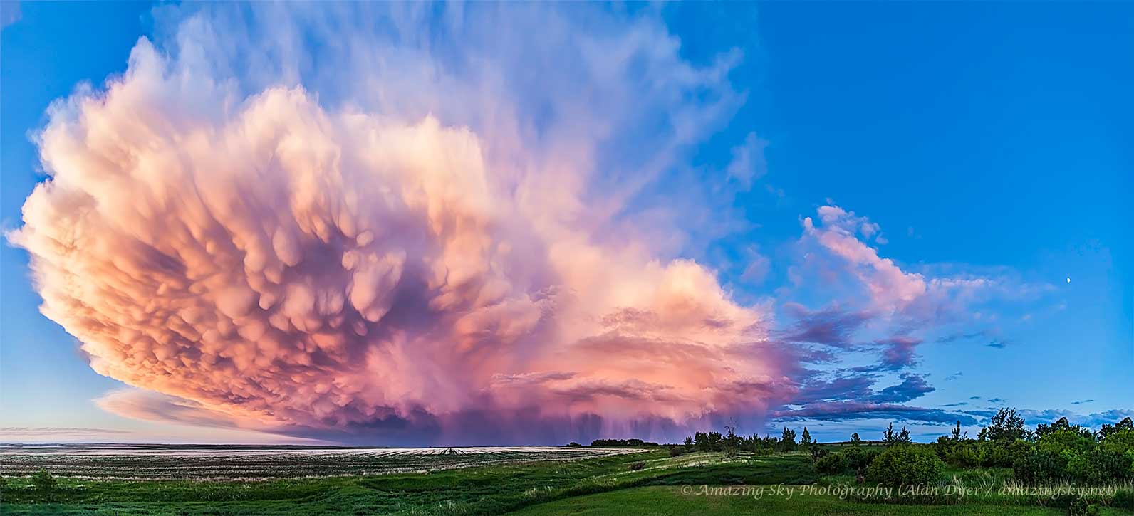 这张特色图片显示了2013年日落时分在加拿大艾伯塔省上空消退的积雨云。巨大的云朵显示乳状云在近端，大雨显示在远端。有关更多详细信息，请参阅说明。