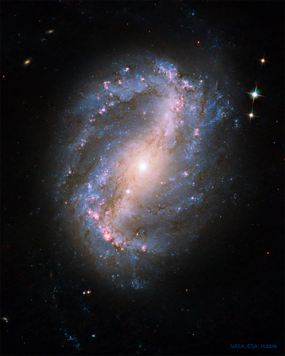 特色图像显示了由哈勃太空望远镜拍摄的棒旋星系 NGC 6217。请参阅说明以获取更多详细信息。 