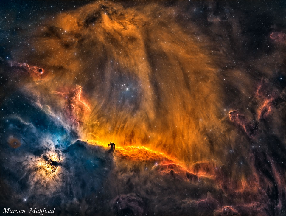 特色图片显示了猎户座中马头星云和火焰星云所在的部分。在这种深度曝光中，马头上方的气团可能看起来是狮子的头。请参阅说明以获取更多详细信息。