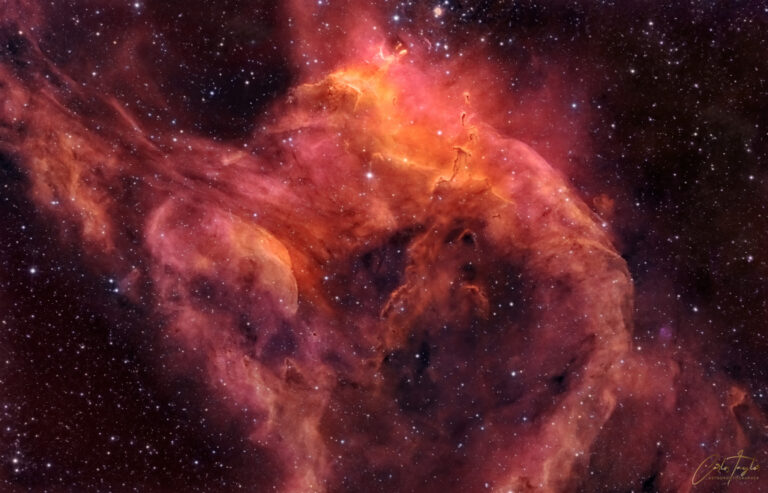 NGC 3572与南天的蝌蚪状云气