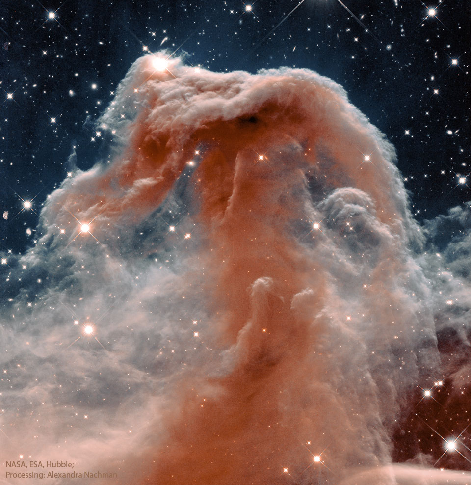 哈勃太空望远镜在红外波段拍摄到的著名马头星云的头像。请参阅说明以获取更多详细信息。