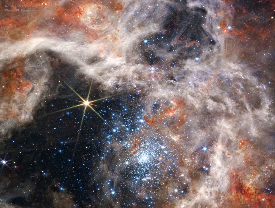 这张特色图片展示了韦伯太空望远镜捕捉到的红外星团R136。正面图像为近红外光图像，翻转图像为中红外光图像。请参阅说明以获取更多详细信息。