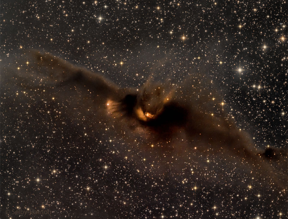 这张特写这张特色图片显示了一个遥远的星场前的深棕色分子云。这朵云看起来像一只会飞的蝙蝠。有关更多详细信息，请参阅说明。