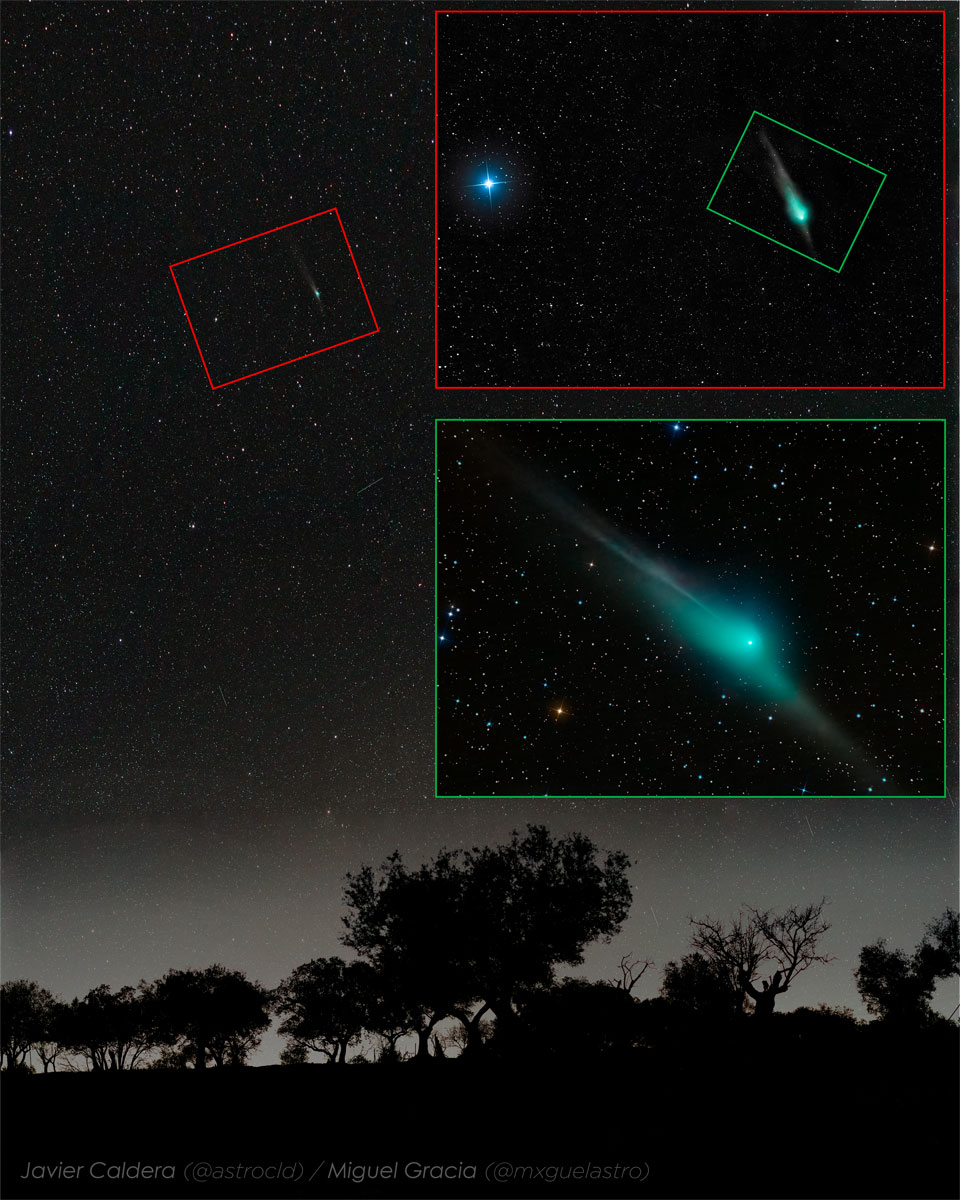ZTF彗星显示在一排剪影树的上方。上面的插图显示了这颗彗星通过双筒望远镜观测的样子，而下面的插图则显示了上周通过一台小型望远镜观测这颗彗星的样子。下图清晰地显示了彗星彗发、尘尾、离子尾和一个明显的反彗尾。有关更多详细信息，请参阅说明。