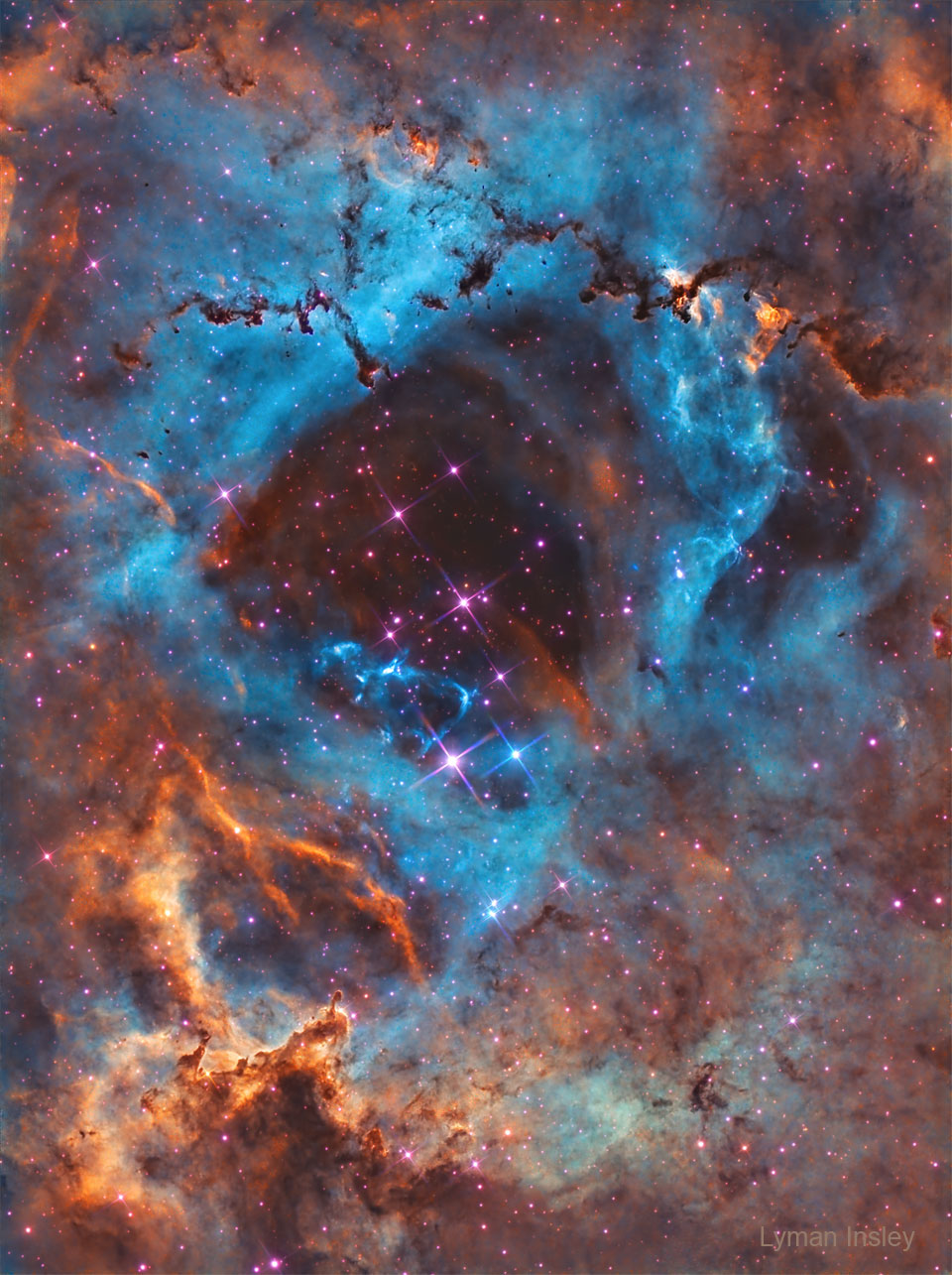 在一个由气体和尘埃组成的星云的疏散中心可以看到一簇恒星。复杂的尘埃柱出现在图像的顶部和底部。有关更多详细信息，请参阅说明