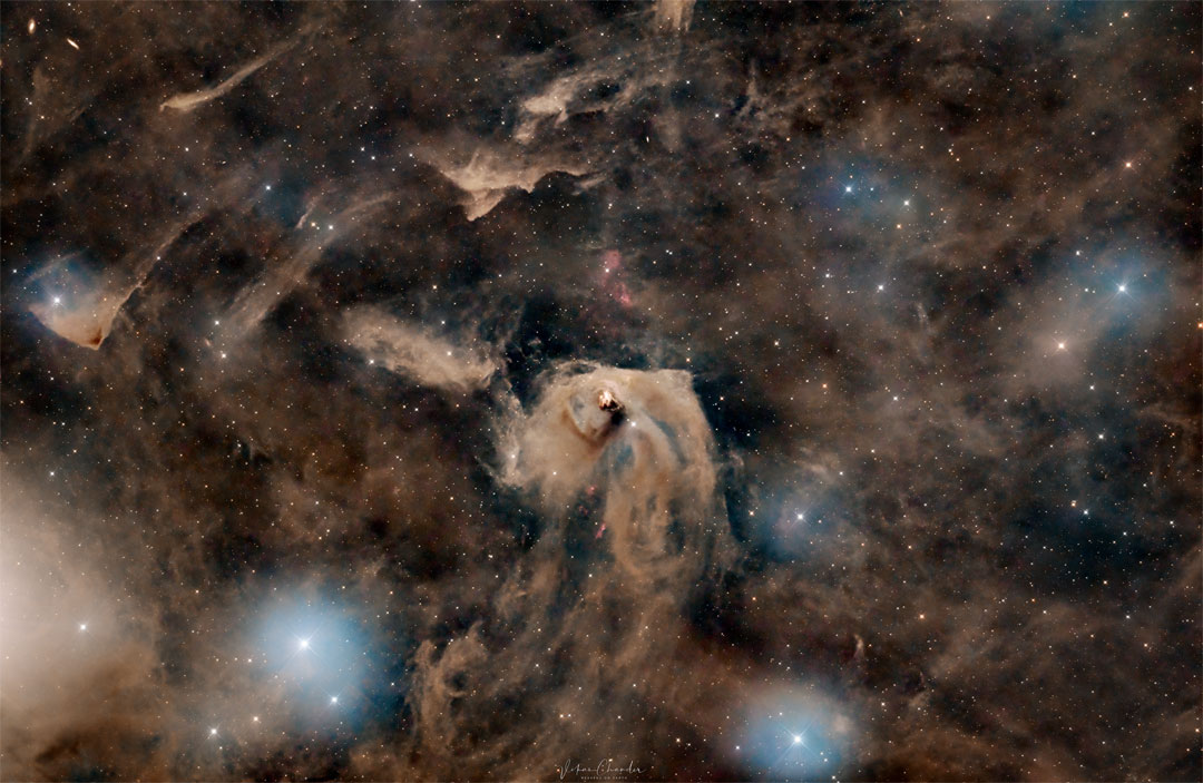 图中是一片布满褐色尘埃的星域。中心是明亮的浅棕色尘埃区，在尘埃区的中心是明亮的恒星形成区域。有关更多详细信息，请参阅解释。