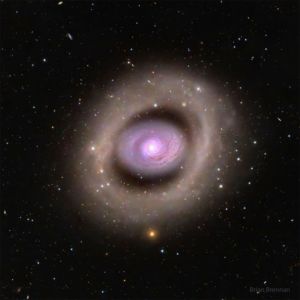 在图像中心可以看到一个带有明显紫色调的螺旋星系。这个星系有一个明亮的内环，但即使在它的外面也有一个大环。外环呈浅棕色。前景恒星在图像中随处可见。有关更多详细信息，请参阅说明。