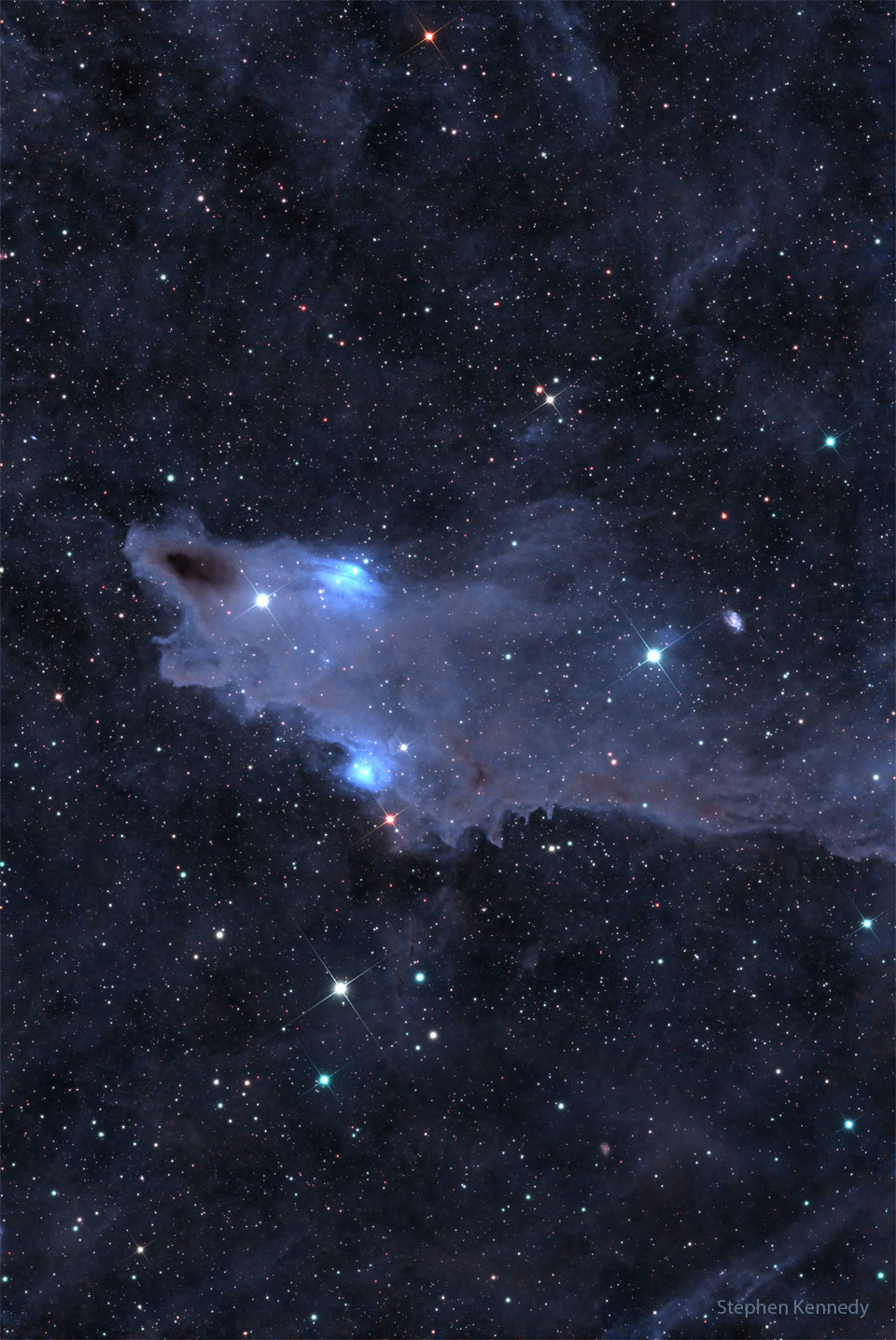 在充满恒星和不太显眼的蓝色阴影星云的背景下，可以看到一团看起来像鲨鱼的深棕色云。有关更多详细信息，请参阅说明。