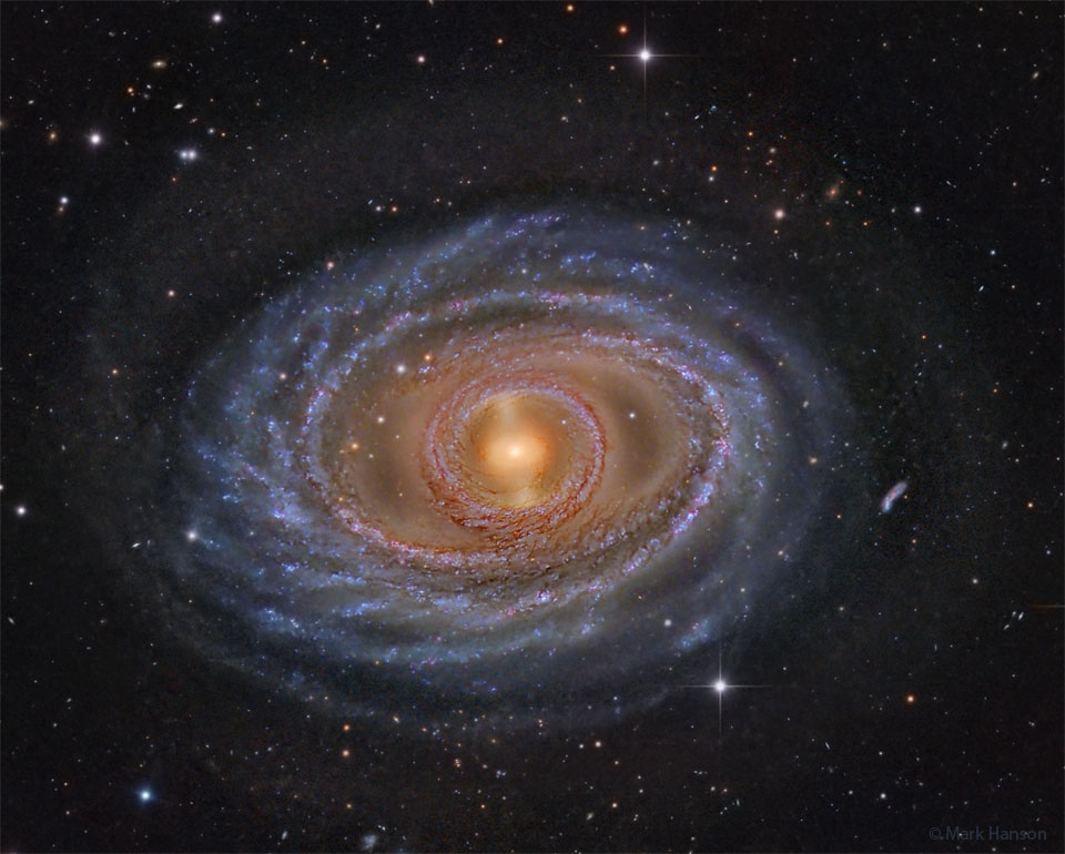 图中显示了一个螺旋星系，其中心为黄色，环和旋臂为蓝色，尘埃为深棕色和红色。周围的暗场包含了本地恒星和更远的星系。有关更多详细信息，请参阅说明。