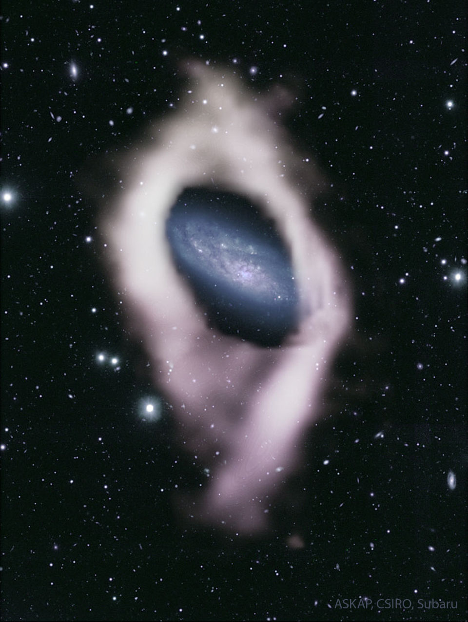 在图像中心的众多前景恒星中间可以看到一个带有蓝色旋臂的星系。这个星系被发现是氢气的白色外壳所包围。有关更多详细信息，请参阅说明。