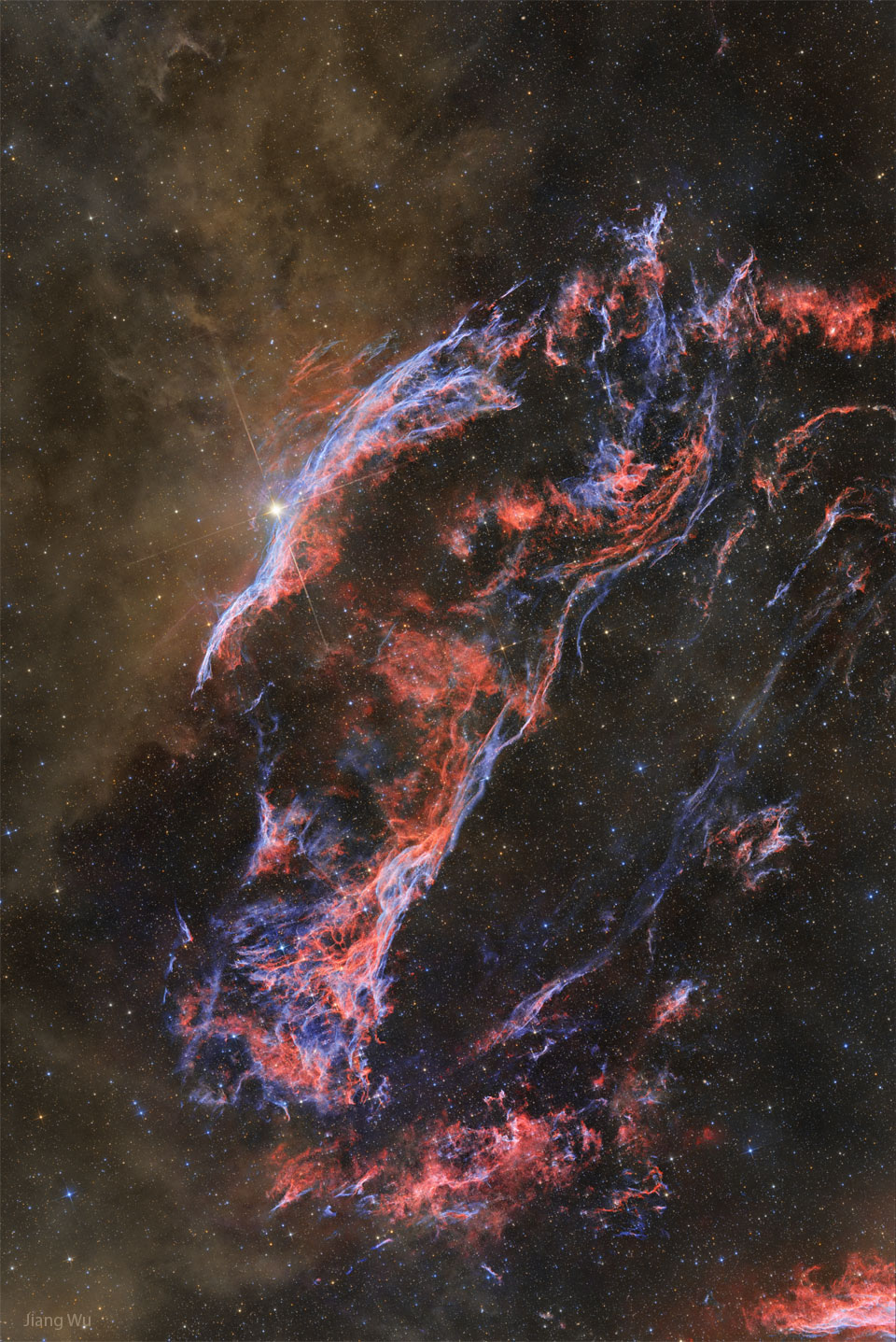 棕色发光的尘埃出现在蓝色和红色丝状气体的左侧，该气体构成了超新星遗迹面纱星云的西缘。有关更多详细信息，请参阅说明。