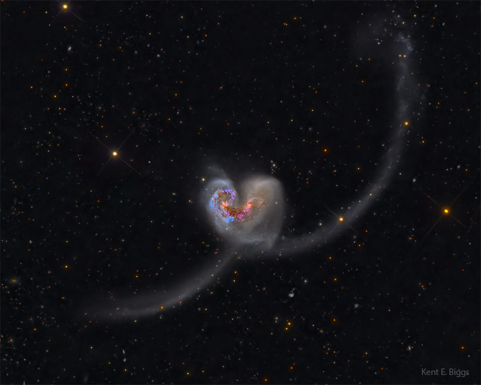 两个星系在图像中心碰撞。它们合在一起，看起来就像一个经典的心形图标，但有颀长的触须。有关更多详细信息，请参阅说明。