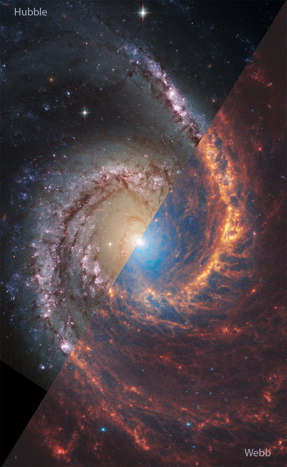 螺旋星系NGC 1566的左上角是哈勃望远镜拍摄的可见光图像，右下角是韦伯望远镜拍摄的红外光图像。一张翻转图像显示了同一个星系，韦伯和哈勃望远镜的部分颠倒了。有关更多详细信息，请参阅说明。