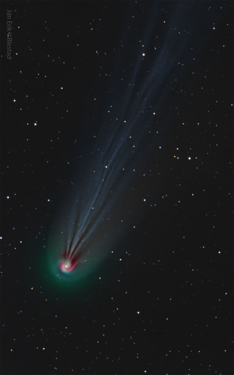照片中的彗星有一条非常长的波浪形离子尾。彗星的前部——彗发——看起来是一个螺旋。彗发呈绿色，尾部呈淡蓝色，部分漩涡呈红色。有关更多详细信息，请参阅说明。