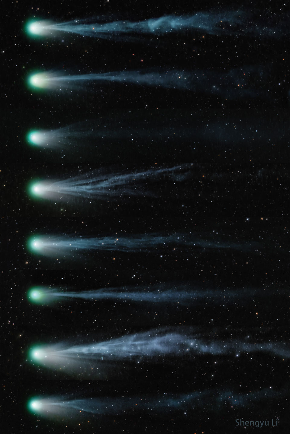 这张由8张从上到下的庞士-布鲁克斯彗星照片组成的序列，显示了彗星及其在 9 天内不断变化的彗尾。离子尾在每张图像中看起来非常不同，有时比其他时候要复杂得多。有关更多详细信息，请参阅说明。