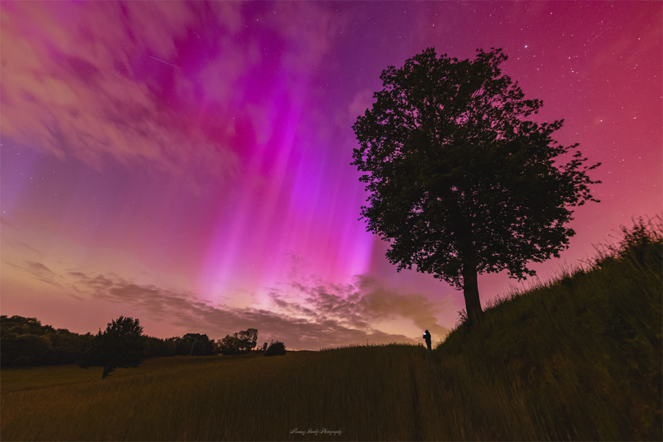 红色和紫色的极光出现在波兰的田野上。右边有一棵树，远处站着一个人，手里拿着一个发光的手机。有关更多详细信息，请参阅说明。