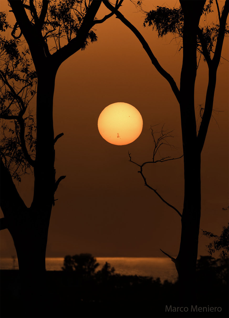 在水面上和前景树木之间可以看到远处的太阳。太阳的下部是巨大的活跃区AR 3664可见的黑暗的太阳黑子。有关更多详细信息，请参阅说明。